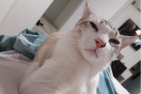 — Bethany G, 46, Charleston, SC