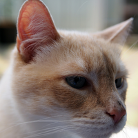 — Hannah C., 55, Santa Rosa, CA