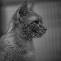 — Morgan E., 56, Richmond, VA